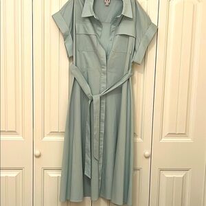 Elegant Pale green Shirt Dress